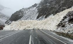 Hakkari-Çukurca kara yolu çığ nedeniyle kapandı