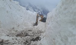 Hakkari'de çığın kapattığı köy yolunda çalışma başlatıldı