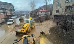 Hakkari'de sağanak nedeniyle heyelan meydana geldi