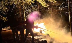Hatay'da çıkan orman yangını kontrol altına alındı