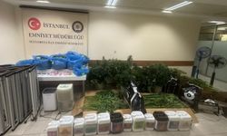 İstanbul'da uyuşturucu ticareti yaptığı iddiasıyla yakalanan 3 şüpheliden biri tutuklandı