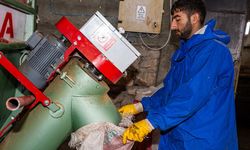 İstanbul'u bırakıp köyüne dönen mühendis hayvancılıkta örnek oluyor