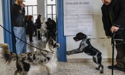 İtalya'da yargı reformuna yönelik referandumda oy kullanma işlemi başladı