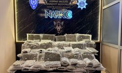 Kapıkule'de tırda 53 kilo 206 gram skunk ele geçirildi