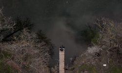 Karacabey Longozu etkili olan yağışlarla doldu