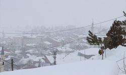 Karlıova'da kar yağışı nedeniyle 25 köye ulaşım sağlanamıyor
