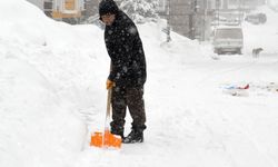 Kars ve Ardahan'da kar yağışı etkili oluyor