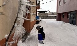 Kars ve Ardahan'da kar yağışı ve soğuk hava etkili oluyor
