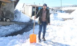 Kars'ta kurt sürüsünü kürekle kovalayan besici güvenlik kamerasında