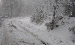 Kazdağları Milli Parkı'nda kar etkili oldu