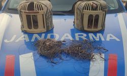 Kırşehir'de tuzakla keklik avlayan 2 kişi yakalandı