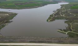 Kuraklıkla suyu çekilen Türkmenli Göleti yağışlarla yeniden dolmaya başladı