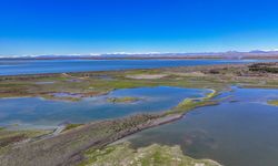 Kuraklıktan etkilenen Devegeçidi Baraj Gölü mevsimsel yağışlarla doldu