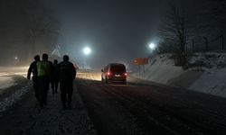 Kütahya'nın Domaniç ilçesinde kar yağışı etkili oluyor