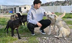 Lübnanlı genç, İsrail'in saldırıları altındaki bölgelerde 'kaderine terk edilmiş hayvanları' kurtarıyor