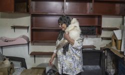 Lübnanlı hayvansever Abadi, İsrail saldırıları altındaki Dahiye'den 40 kedisiyle ayrılmak zorunda kaldı