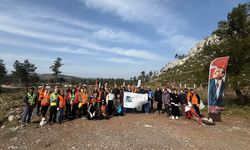 Marmaris'te otelciler yanan orman alanlarına fidan dikti