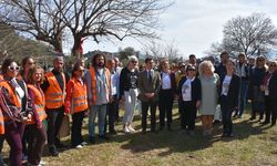 Marmaris'te Türk ve Alman kadınlar barış için zeytin fidanı dikti