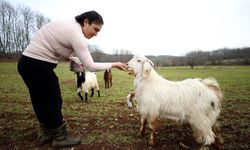 Moda tasarımcısı şehrin stresinden uzaklaşmak için kamp yaptığı köye göç etti
