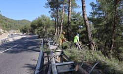 Muğla'da orman yangınlarını önlemek için yol kenar temizliği yapılıyor