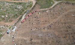 Muğla'da Turnalı sahilindeki yanan ormanlık alan yeniden yeşillendiriliyor