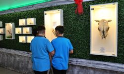 Okulda kurulan müzede öğrenciler doğayı okul ortamında keşfediyor