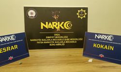 Ordu'da uyuşturucu operasyonunda yakalanan 4 zanlı tutuklandı