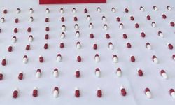 Ordu'da uyuşturucu operasyonunda yakalanan zanlı tutuklandı