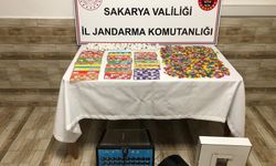 Sakarya'da kumar oynayanlara 817 bin 533 lira ceza kesildi