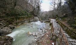 Samandere Şelalesi'nin debisi eriyen karla yükseldi