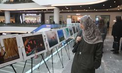Samsun'da 'Tarım, Orman ve İnsan' fotoğraf sergisi düzenlendi