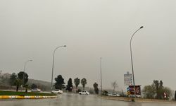 Şanlıurfa'da sağanak etkili oldu