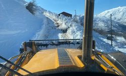 Siirt'te kardan kapanan 20 yerleşim yerinin yolu ulaşıma açıldı