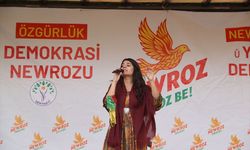 Şırnak ve Mardin'de nevruz etkinliği düzenlendi