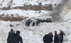 Şırnak'ta üzerine çığ düşen tırın sürücüsü ağır yaralandı