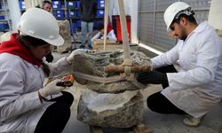 Stratonikeia'nın tarihi taşları öğrencilerle yeniden can buluyor