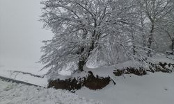 Tekirdağ ve Kırklareli'nin yüksek kesimlerinde kar etkili oluyor