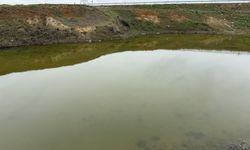 Tekirdağ'da kuruyan Çakıl Gölet'i yağışlarla yeniden doluyor