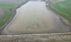 Tekirdağ'da kuruyan gölet yağışlarla yeniden doluyor