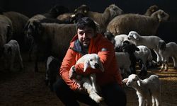 Üniversiteli genç, devlet desteğiyle başladığı hayvancılıkta söz sahibi olmak istiyor