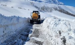 Van, Muş, Hakkari ve Bitlis'te 65 yerleşim yerine ulaşım sağlanamıyor