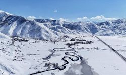 Van, Muş ve Bitlis'te kar nedeniyle 62 yerleşim yerine ulaşım sağlanamıyor