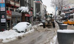 Van ve Bitlis'te kar etkili oldu