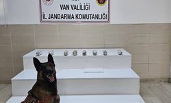 Van'da 1 kilo 256 gram uyuşturucu ele geçirildi