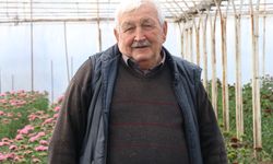 Yalova'da dört kuşaktır sürdürülen çiçekçilik torunlarla devam ediyor