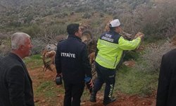 Adıyaman'da devrilen traktörün sürücüsü öldü