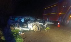 Afyonkarahisar'da ağaca çarpan otomobildeki 1 kişi öldü, 1 kişi yaralandı