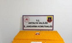 Alanya'da uyuşturucu operasyonunda 2 şüpheli yakalandı