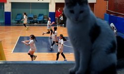 Ankara Valiliğince 'Nezaket Haftası'nda akran zorbalığının en aza indirilmesi hedefleniyor