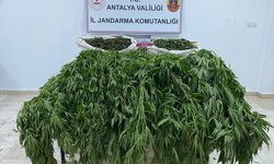 Antalya'da uyuşturucu operasyonunda 1 kişi tutuklandı